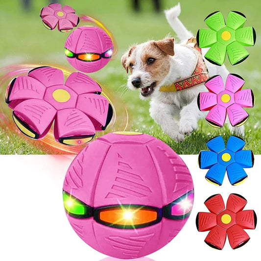 2023 New Pet Toy Flying Saucer Ball, Flying Saucer Ball Dog Toy, Pet Toy Flying Saucer, Flying Saucer Dog Toy, Pet Flying Saucer